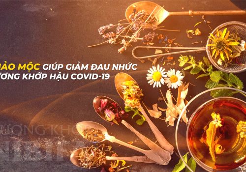 THẢO MỘC GIÚP GIẢM ĐAU NHỨC XƯƠNG KHỚP HẬU COVID
