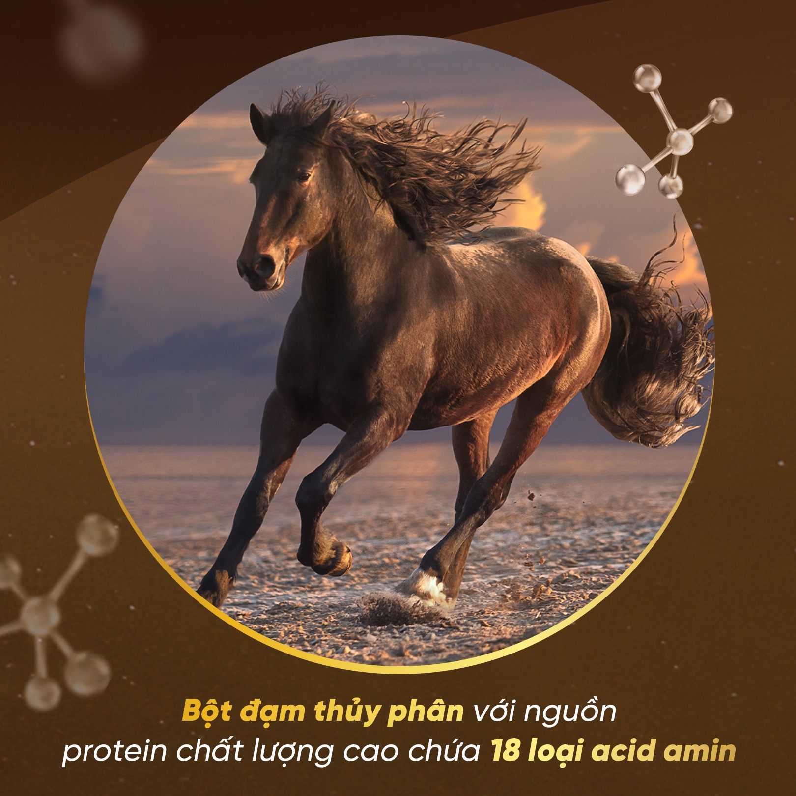 269056829_140546275015817_7087177679588731425_n