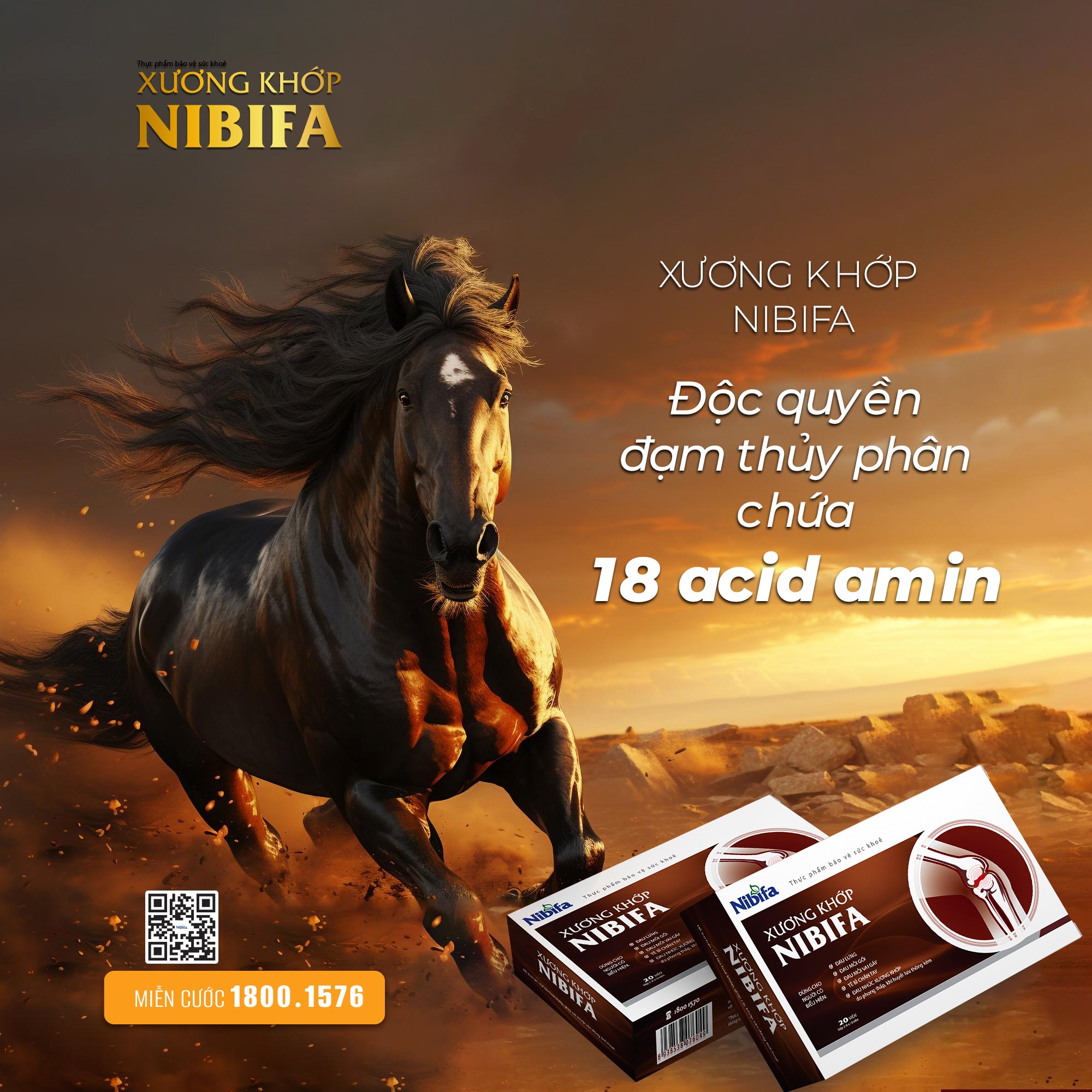 Xương Khớp Nibifa độc quyền đạm thuỷ phân