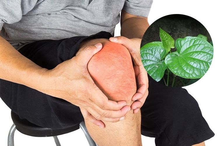 la-lot-chua-dau-khop-1