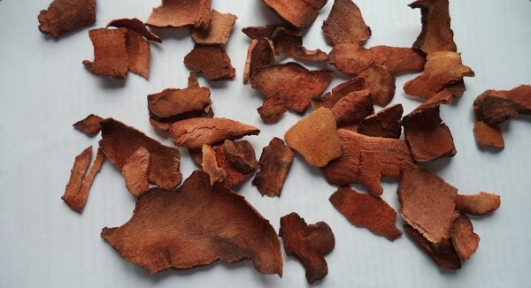 duoc-lieu-tho-phuc-linh-1